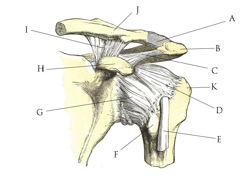 Shoulder Popping, No Pain – A Symptom Of Something Worse Or A Benign