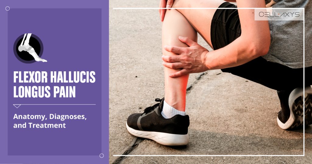 Flexor Hallucis Longus Pain