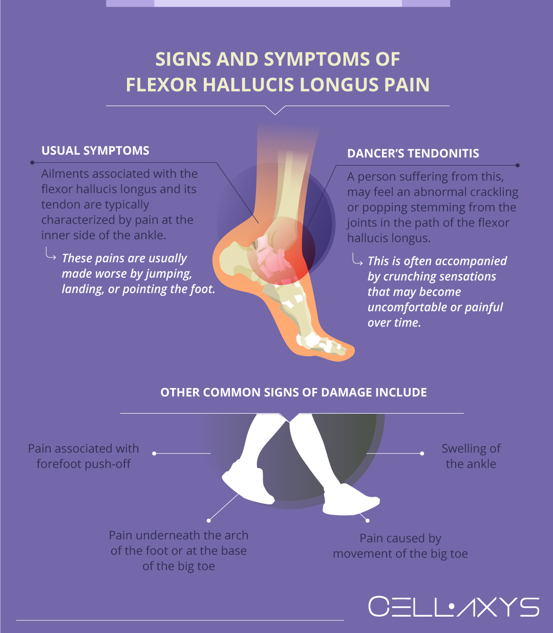Signs and Symptoms of Flexor Hallucis Longus Pain