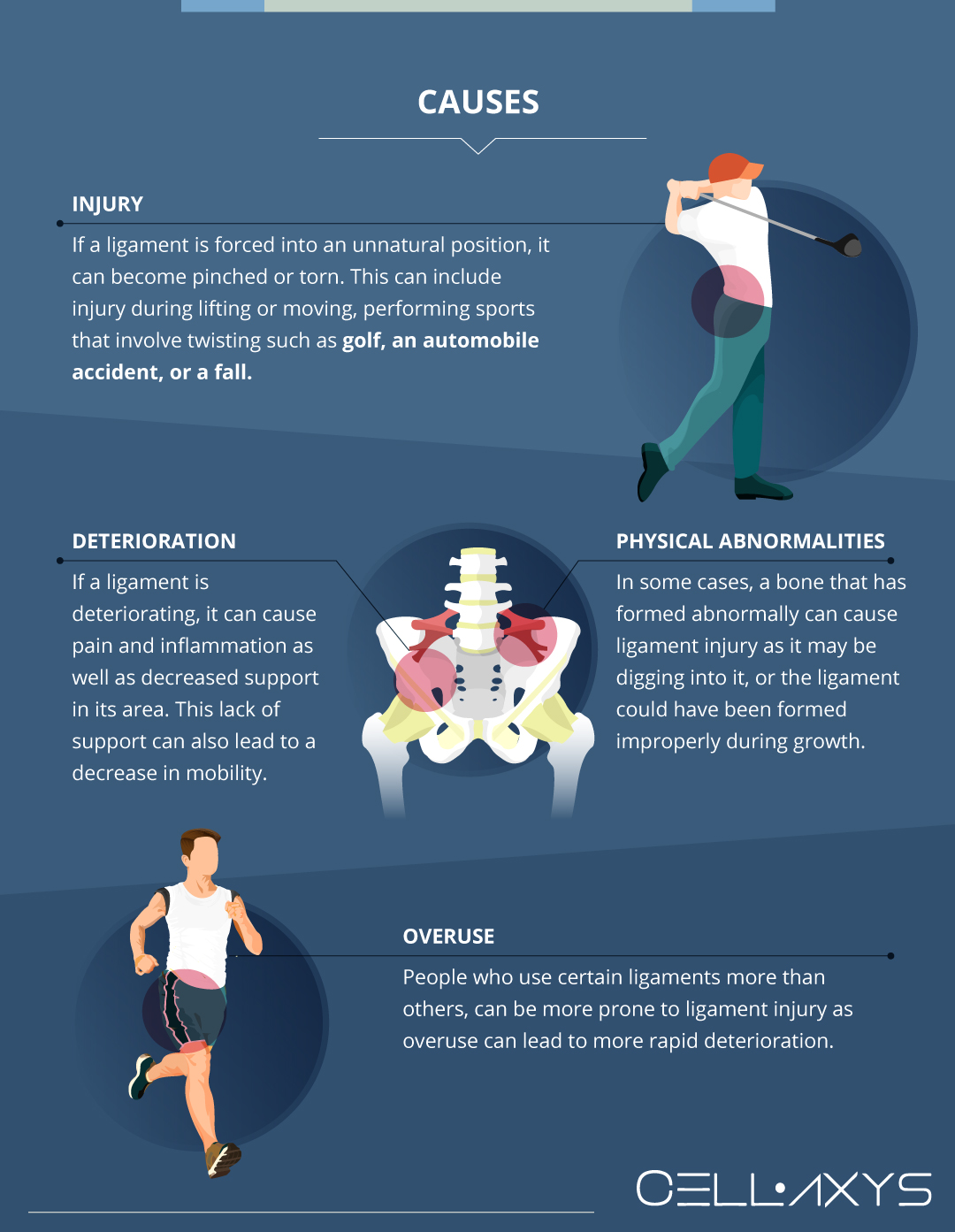 Iliolumbar Ligament Pain Pattern