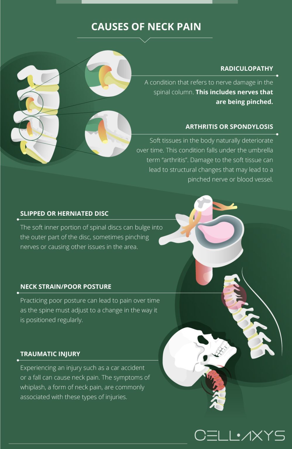 Can Neck Pain Cause Dizziness And Headaches