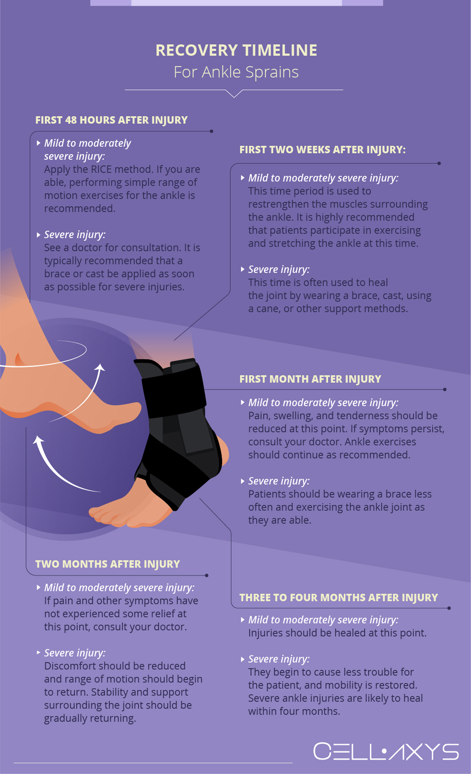 Recovery Timeline For Ankle Sprains