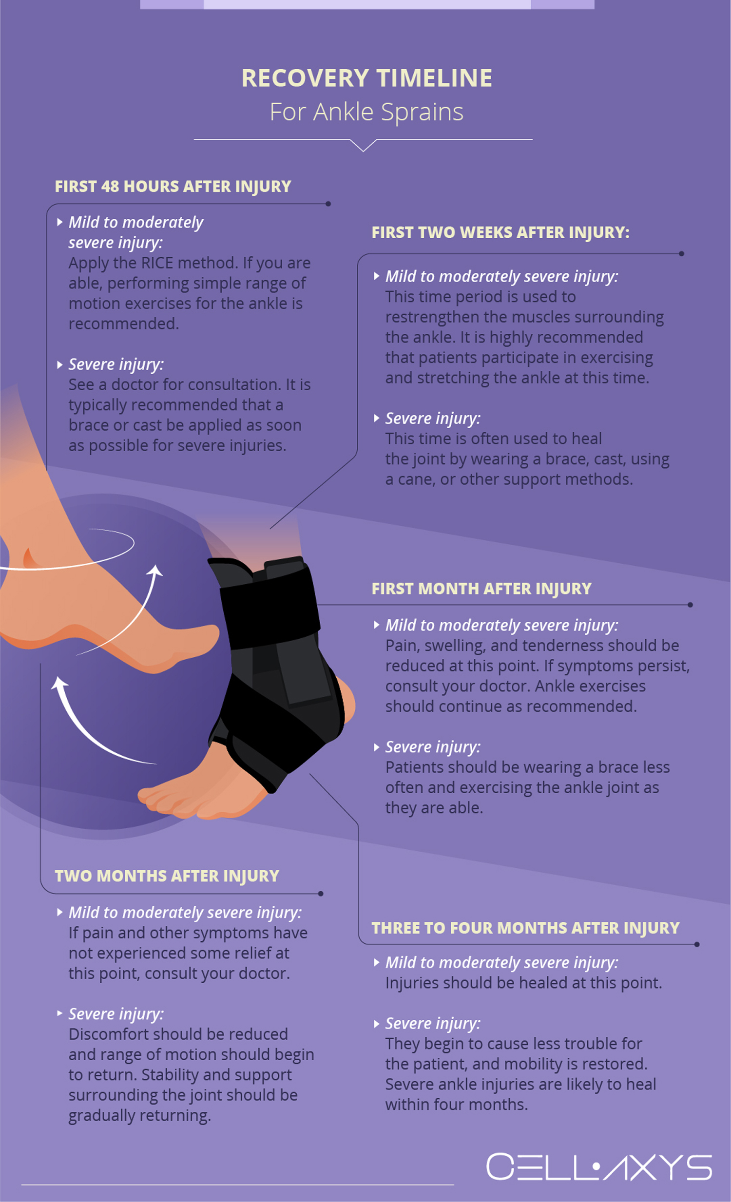 Deltoid Ligament Ankle Injuries: Treatment & Diagnosis - Cellaxys