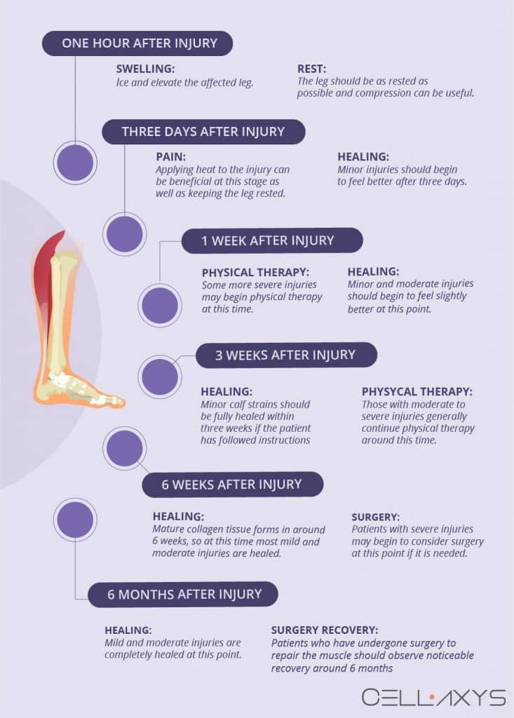 Calf Strain Recovery Time - Cellaxys