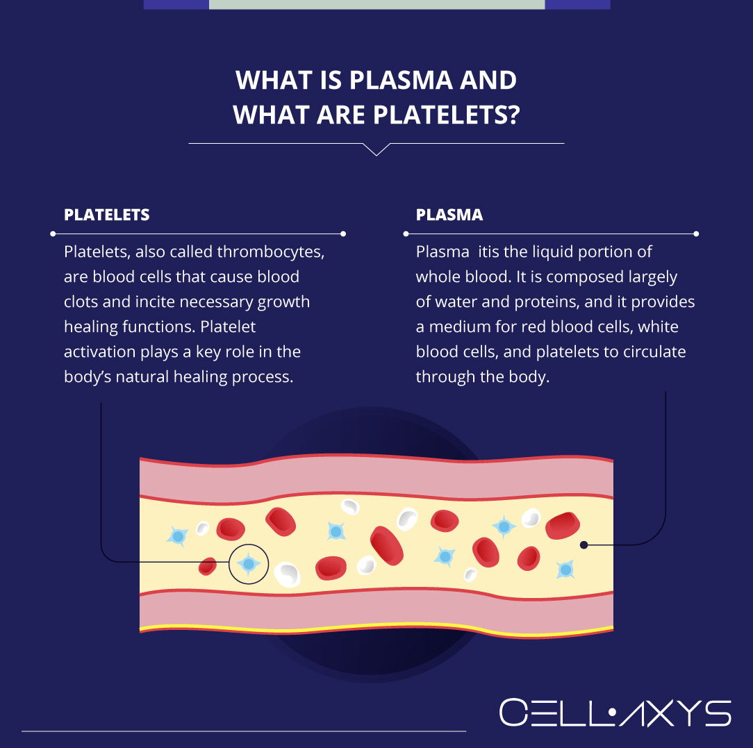 What Is Plasma and What Are Platelets