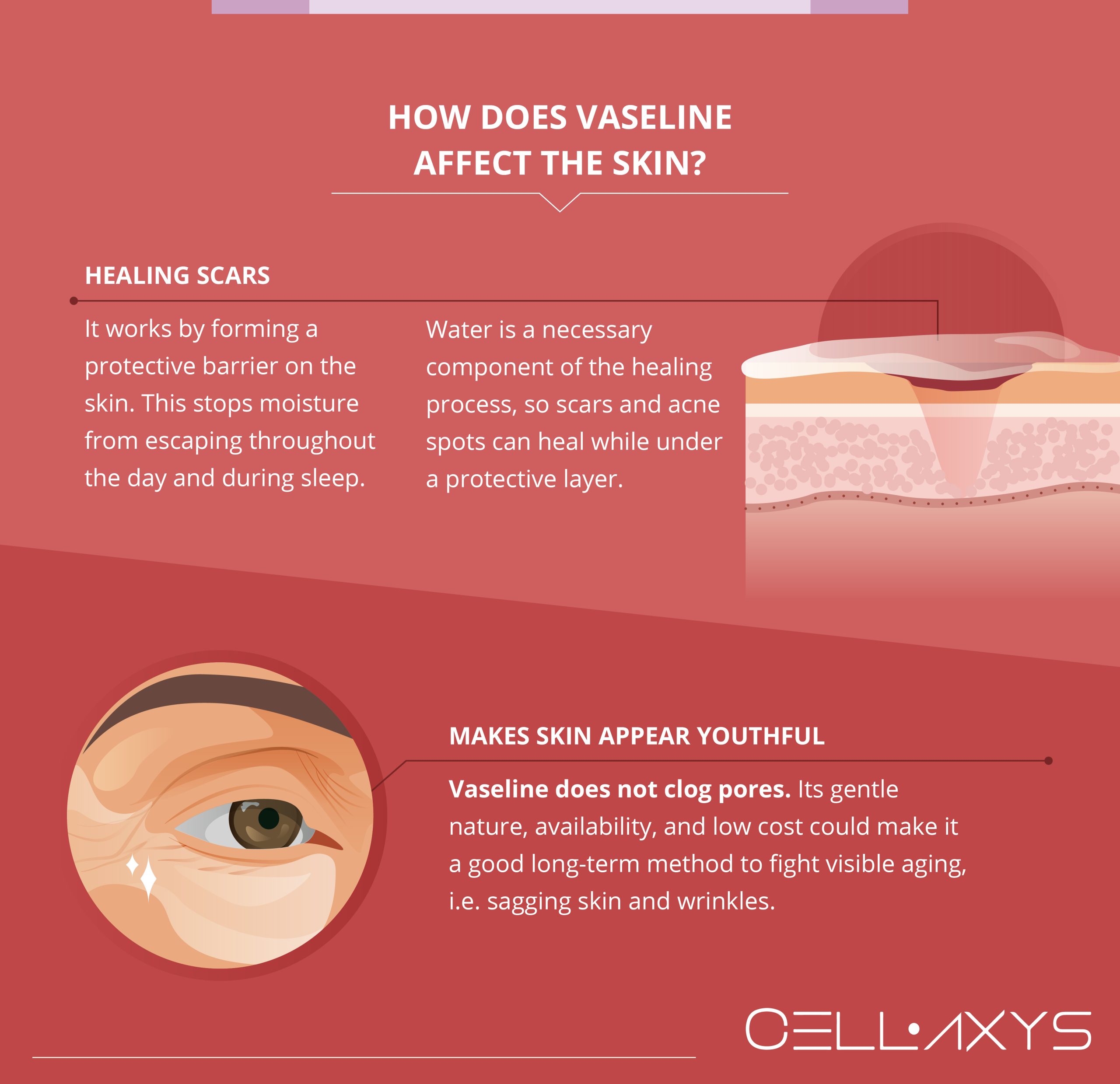 Pros And Cons Of Applying Vaseline Before Bed Cellaxys