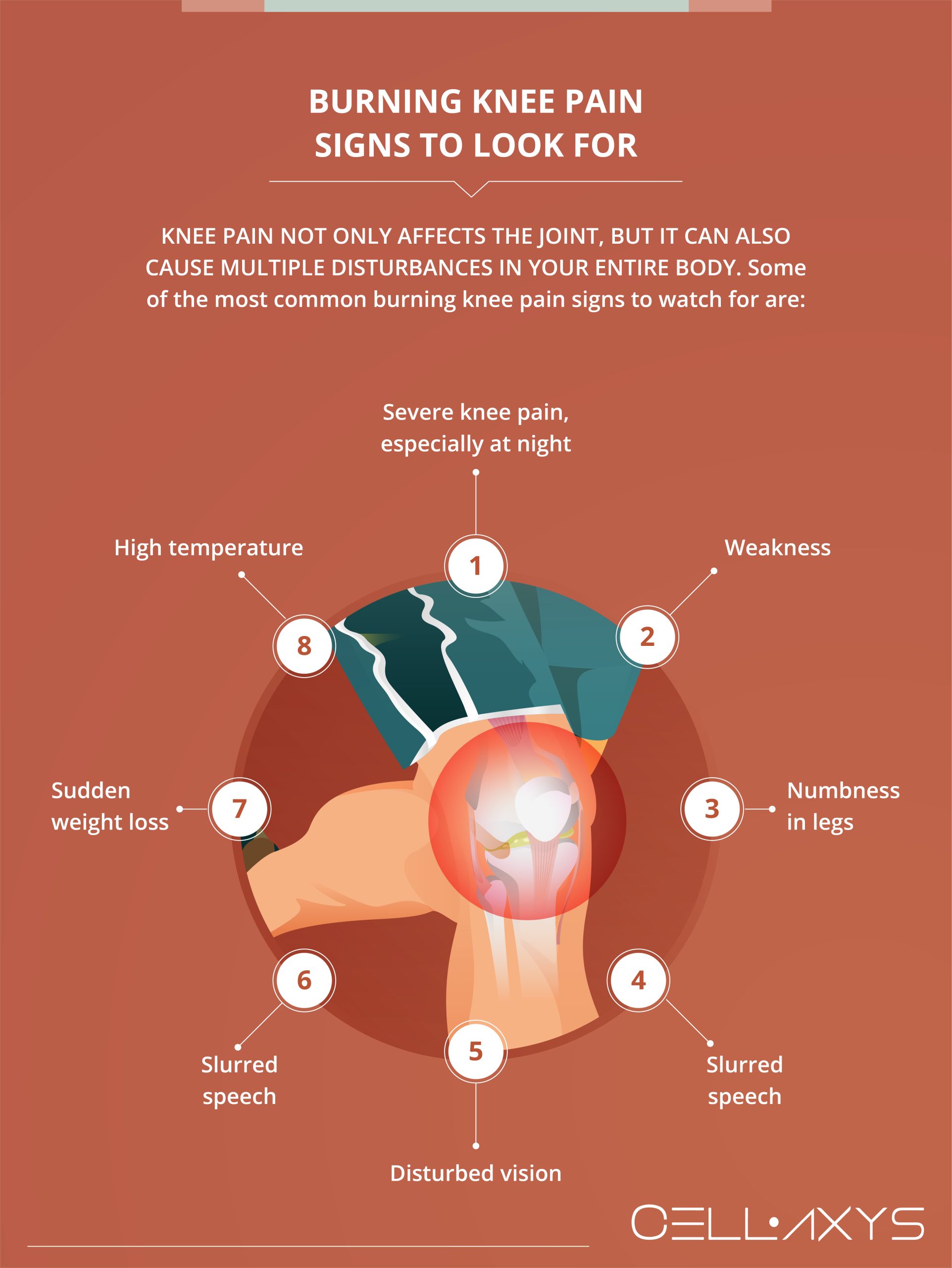 What happens when they burn the nerves in your knee?