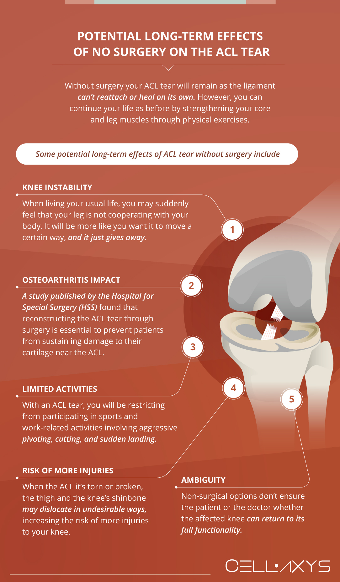 Potential detrimental effects of ligament injury on the knee.