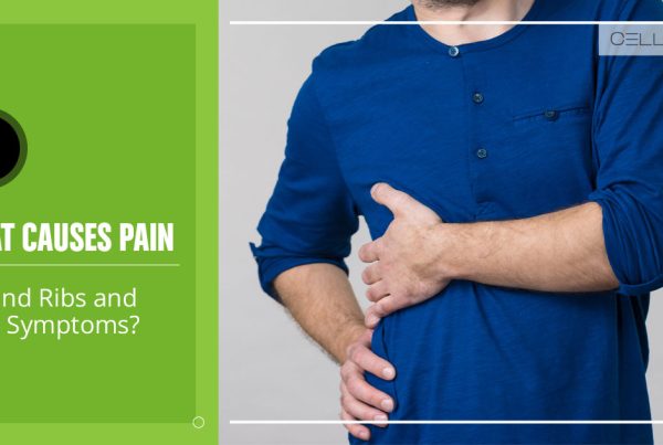 Lower Back Pain When Standing Up From Sitting Position Cellaxys
