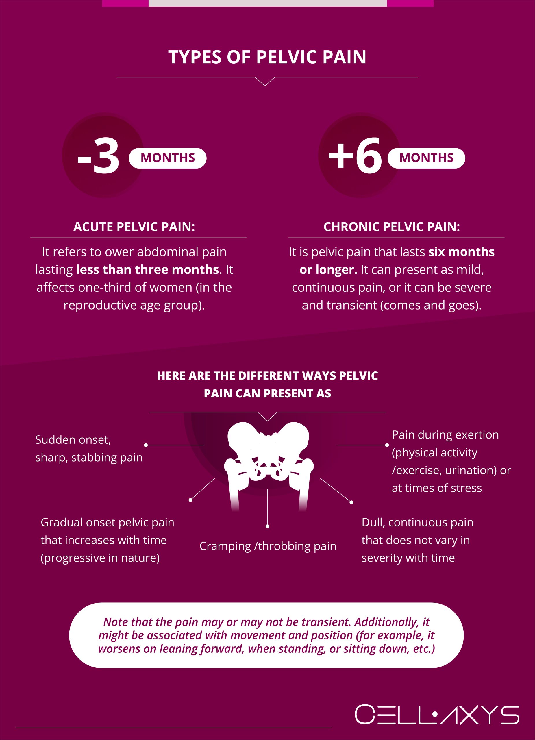 Where Is Pelvic Pain Located? - Cellaxys