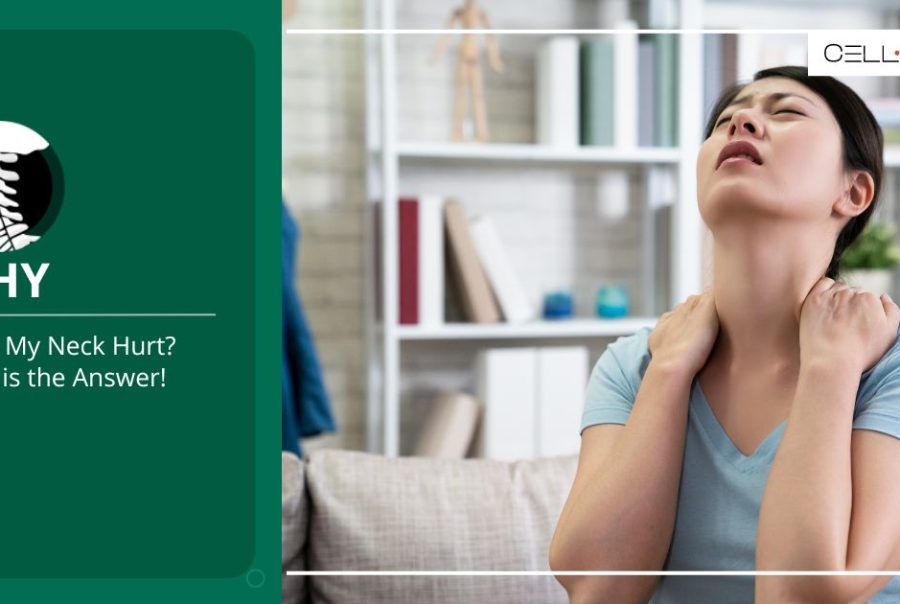 Neck Pain At Base Of Skull: Symptoms, Causes, And Treatment - Cellaxys